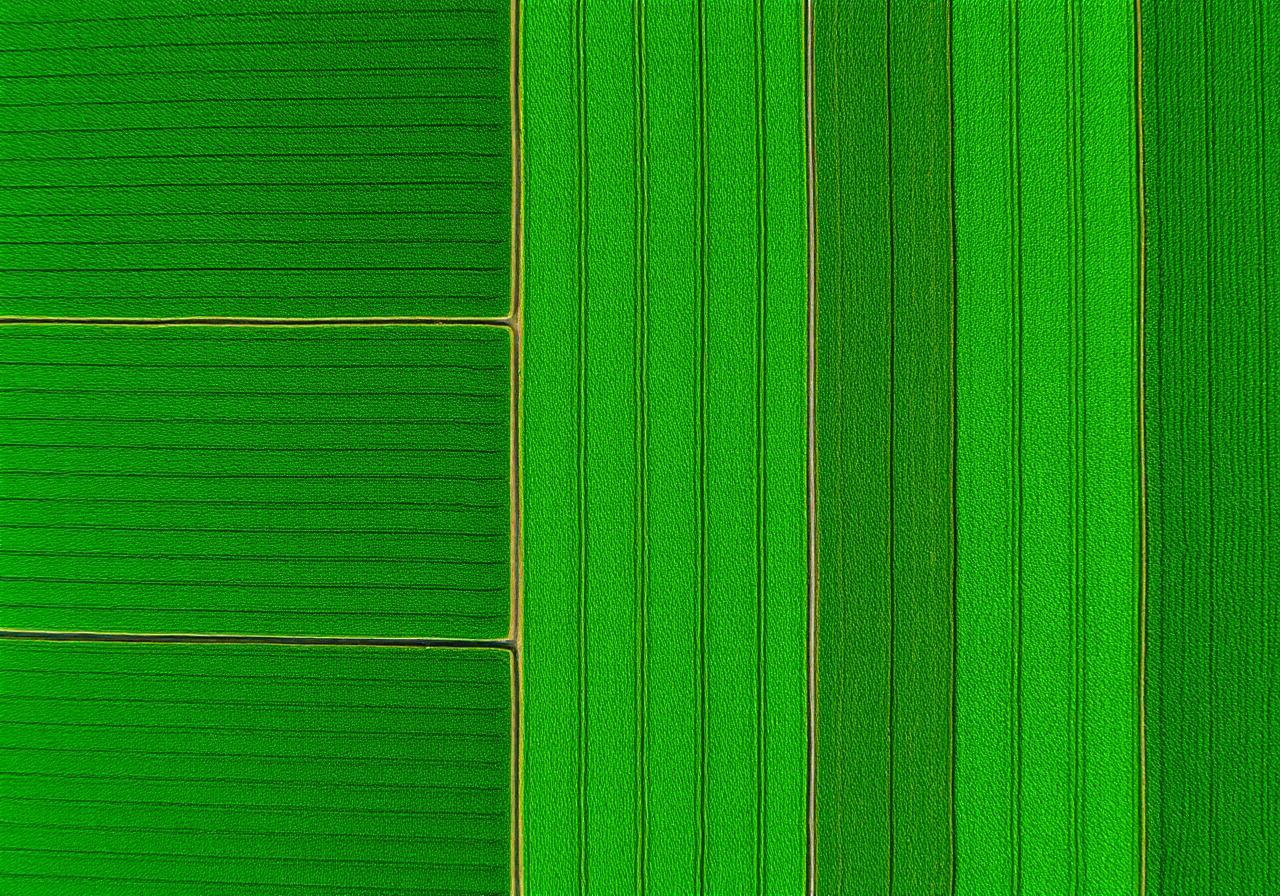 Landwirtschaft